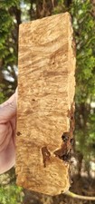 Maple Burl Blank - 7 1/2  2 1/2  15/16 inches - Fully Dry 