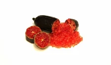 Rare  BYRON SUNRISE Finger Lime- 3 cuttings , no roots- imported