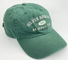 Vintage 1988 Silver Hawks Baseball Club StrapBack Hat KP Cap Adjustable Green