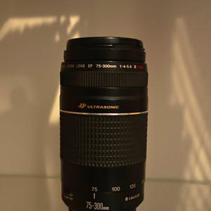 Canon EF 75-300mm f/4-5.6 IIl USM Zoom Lens Auto & Manual Focus