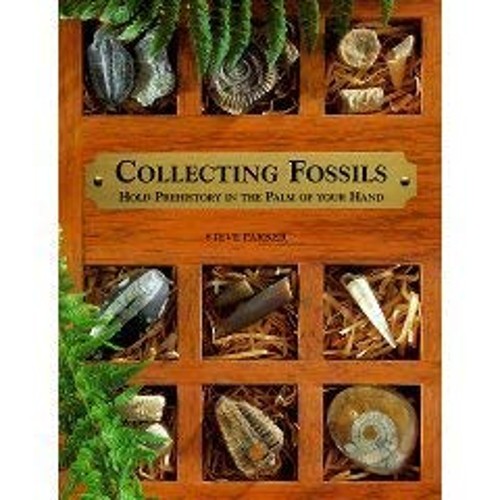 Collecting Fossils: Hold Prehistory in the Palm of Your Hand StevFree US Delivery | ISBN:0806997702