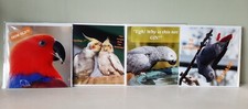 7 Pack Charity Greeting Cards, Parrots,Parakeets,Conures,Eclectus, AfricanGrey