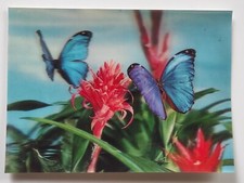 Vintage 3D Postcard Flowers and butterflies