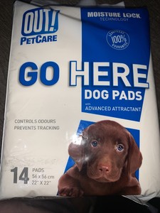 out puppy pads
