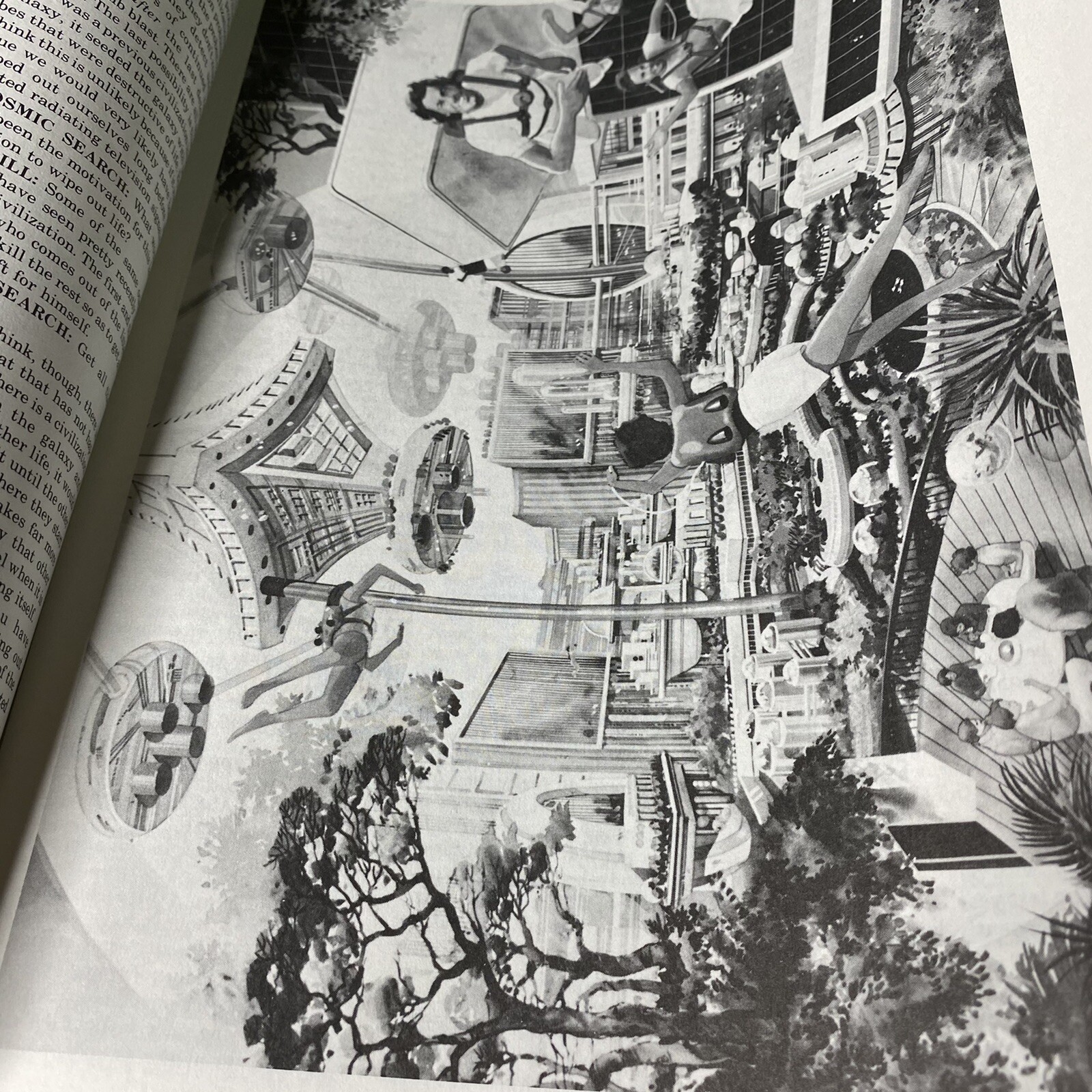 Picture 6 of 6