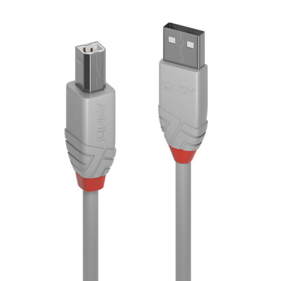 Cavo USB 2.0 Tipo A/B Trasparente Lindy - 0.2 Metri, Doppia Schermatura, Fino A 480 Mbit/s, Colore Trasparente - 4
