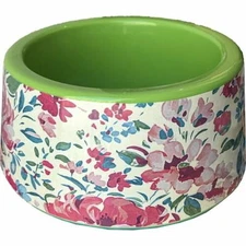 Pioneer Woman Small Melamine Pet Bowl 14oz Bpa Free Dishwasher Safe Multi/Green