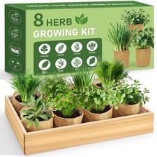 8 Herb Indoor Garden Kit for Beginners, Complete Windowsill Growing Gifts Set...