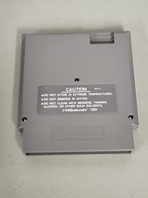 Solstice: The Quest for the Staff of Demnos Nintendo NES