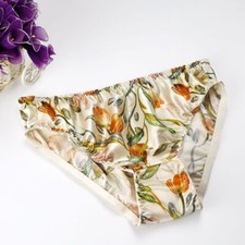 2PCS 100 Silk Luxury Panties Daily Casual Knickers Briefs Bikinis Hipsters XL