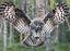 owlman023