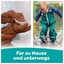Bild 2 von 6