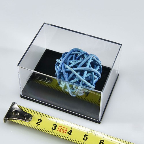 4 Pcs Transparent Box Specimen Child Miss Display Case for Samples - Imagen 4 de 12