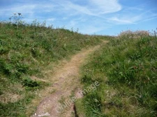 Photo 6x4 Path to the summit of Burgh Island Bigbury-on-Sea The steep slo c2010