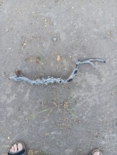 Manzanita Natural Burnt Wood Approximately 23 Inches In Length