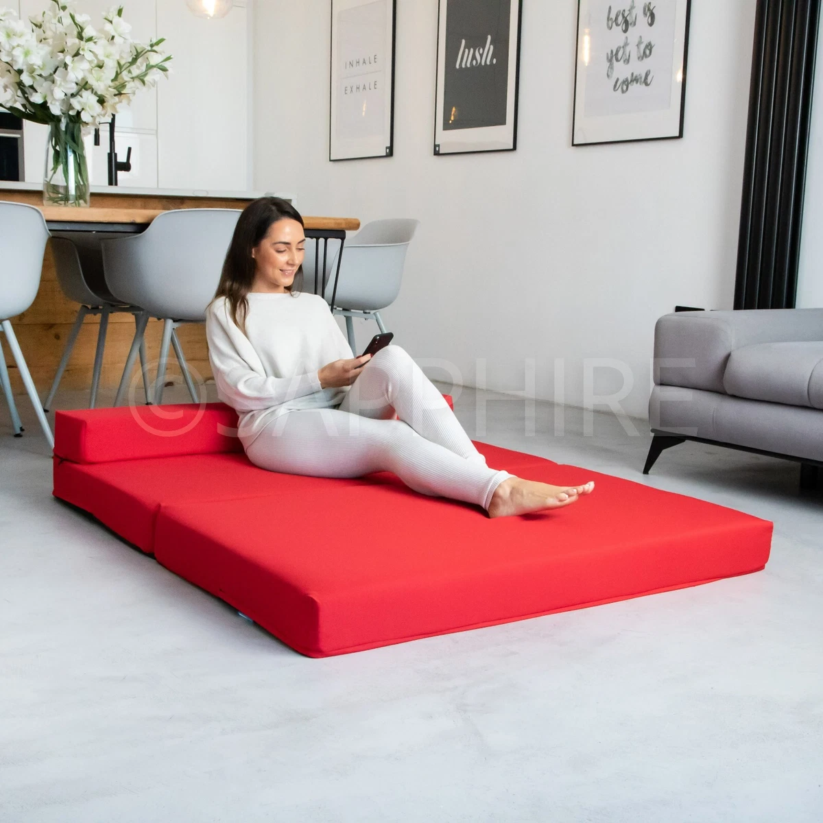 Foam Fold Out Sofa Bed Australia Matttroy