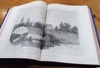 Picture 19 of 19