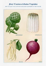 10084.Decor Poster.Room home wall Interior art design.Kitchen vegetables.Salad