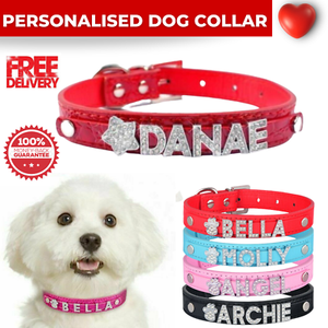 ebay dog collars