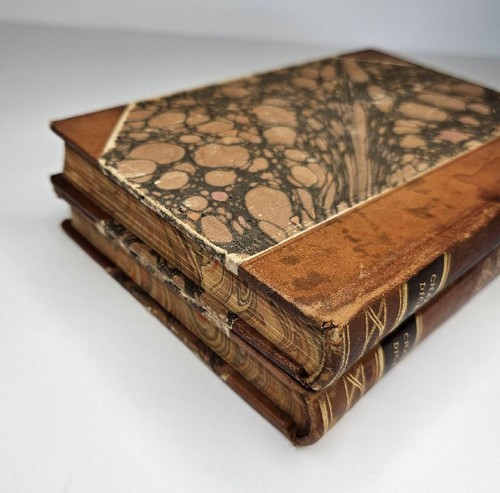 Antique 1936 David Copperfield Charles Dickens Vol 1 &2 Set Swedish Edition - Foto 3 di 15