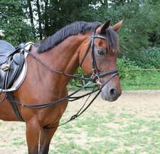 Kerbl triangle reins Viennese reins adjustable black