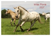 "Calendar 2027 · US Version · Wild Horses (Wall Calendar 2027 17\" × 12\" Landscape"