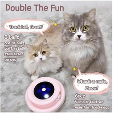 Interactive Cat Toy with Feathers