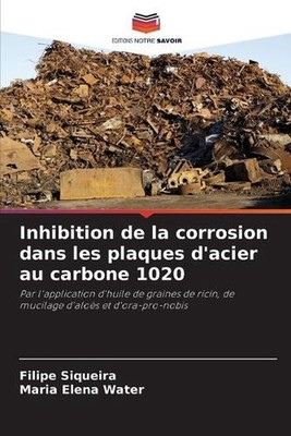 Inhibition de la corrosion dans les plaques d'acier au carbone 1020 by Filipe Si