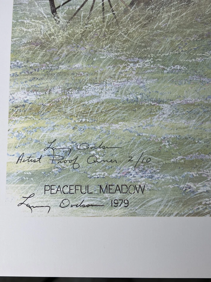 RARO Larry Dodson-1979 "PRADO PACÍFICO" PRUEBA DE ARTISTA # 2 de 10, impresión 21x25 Foto 2 de 4