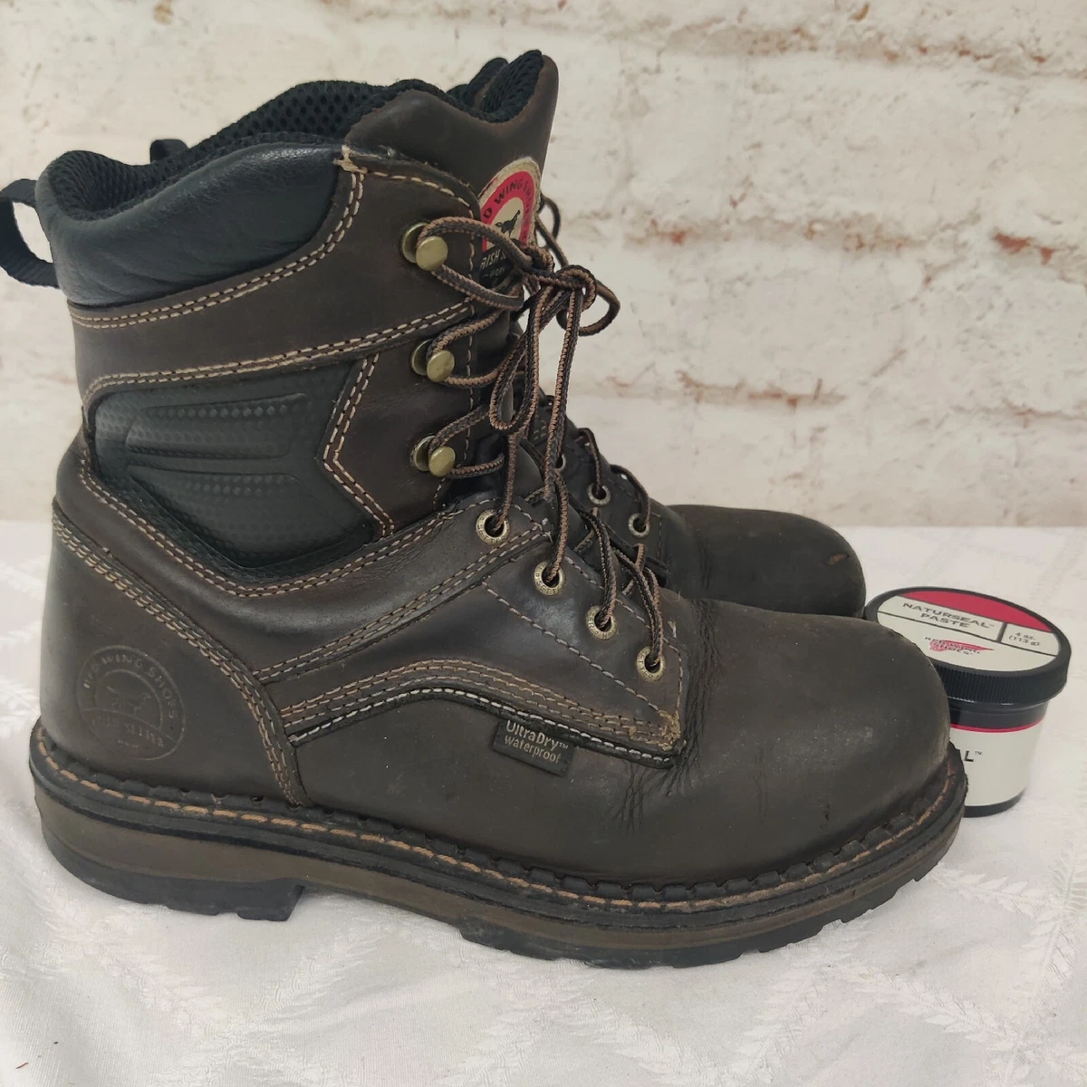 Irish cheap setter 83800