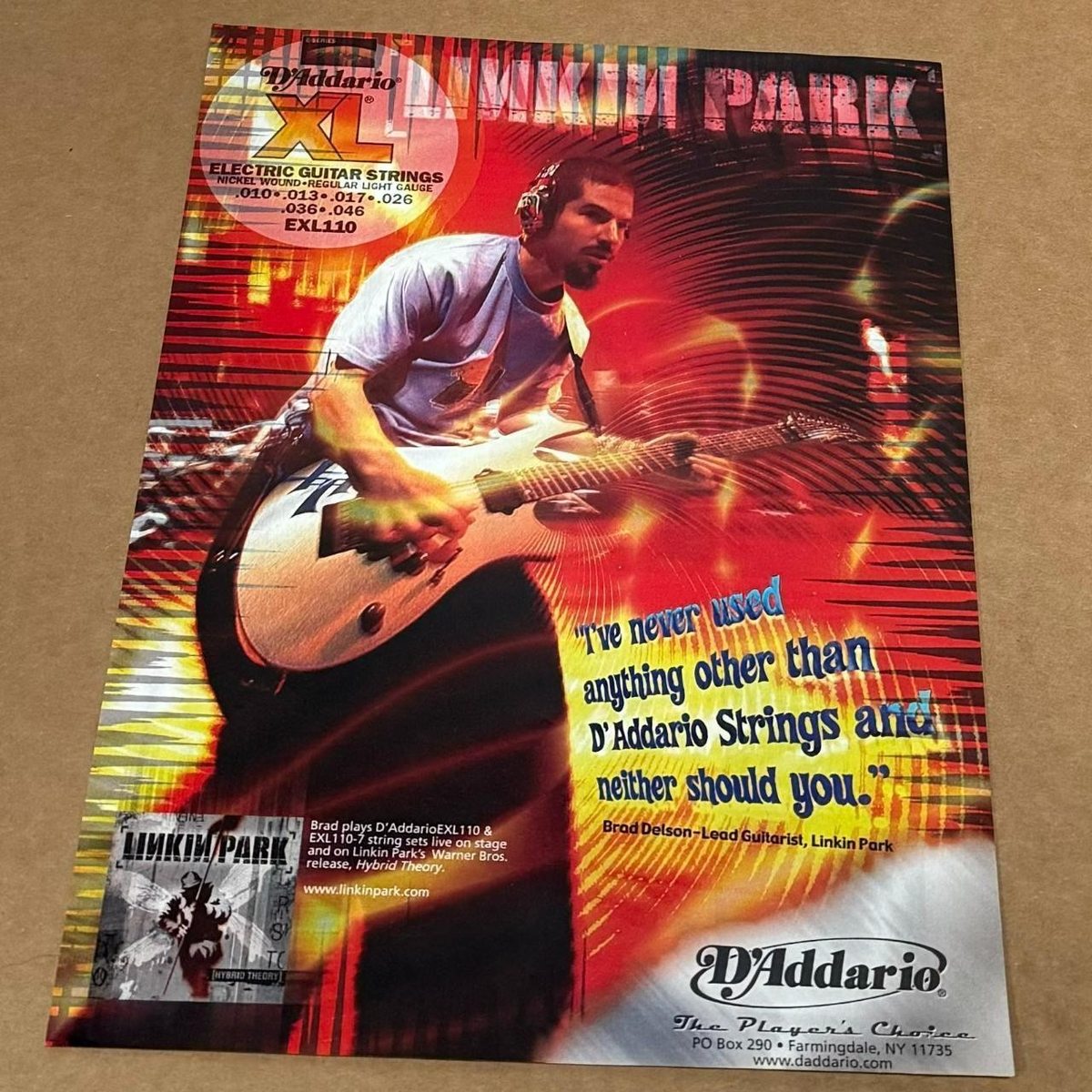 BRAD DELSON OF LINKIN PARK - D'Addario Strings - 2001 Print