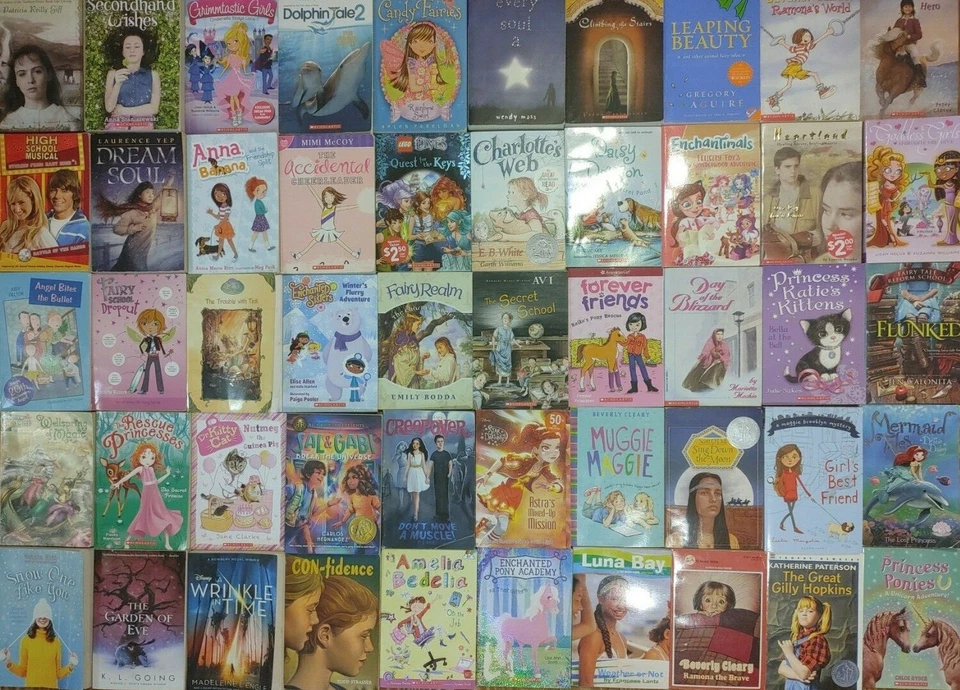 RANDOM Lot of 15 4th Grade AR Chapter Books RL Level 4.0-4.9 Homeschool Teacher - Image 3 of 4