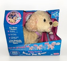 Fisher Price PUPPY GROWS AND KNOWS YOUR NAME Poodle Interactive/Programmable NIB