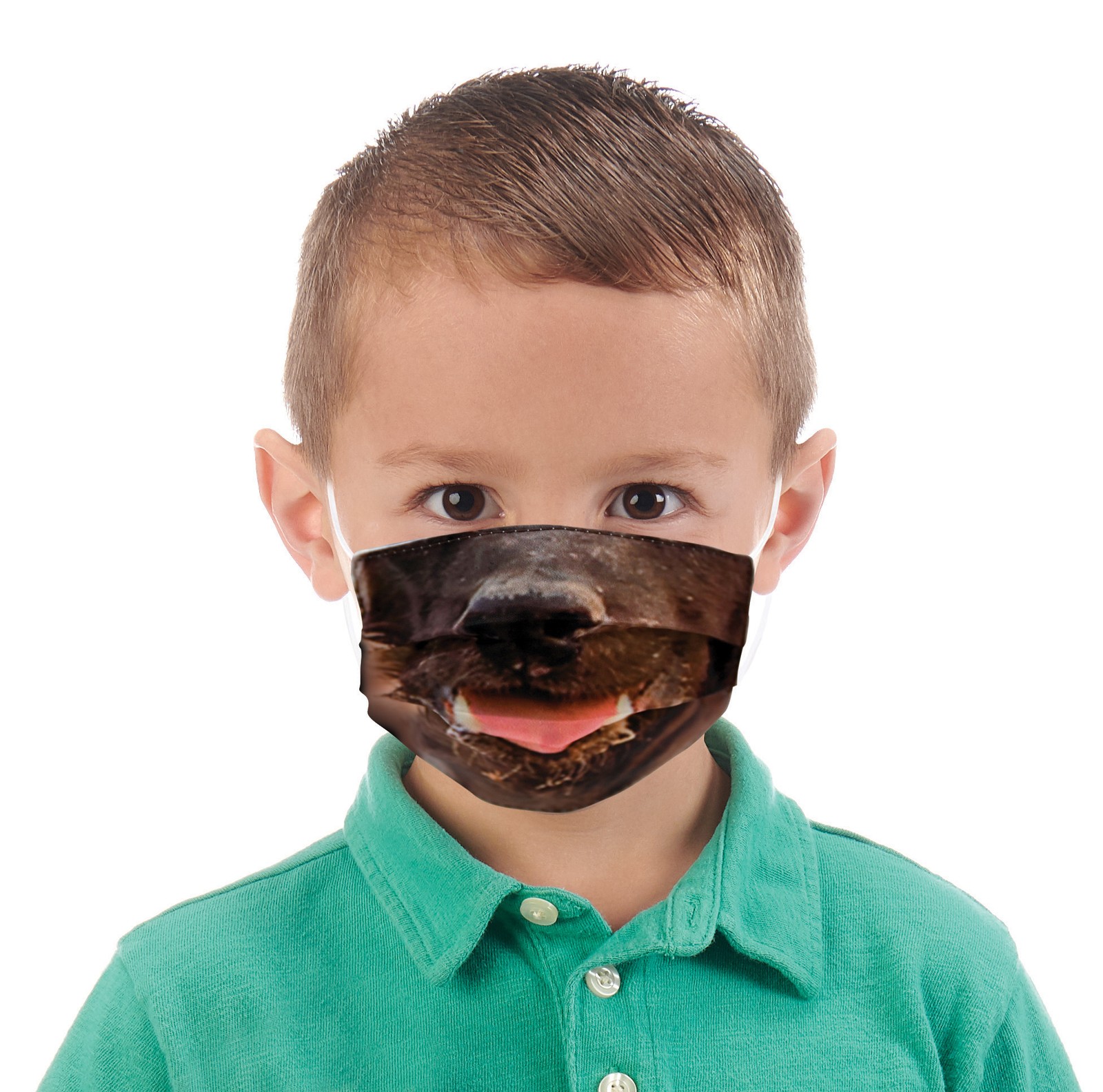 Веселые молодежные маски для лица с изображением животных Wildlife Artists, моющиеся, многоразовые - Раскрашенная собака