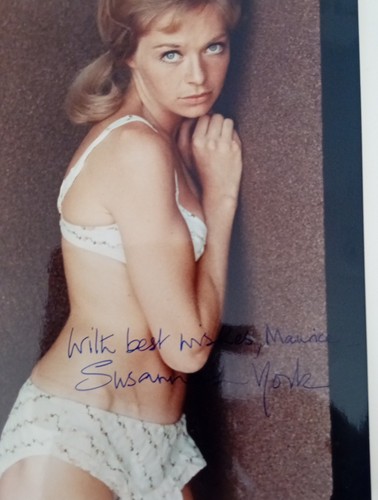 SUSANNAH YORK sehr junge Susannah original signiertes 10x8 Foto TOP - Bild 4 von 5