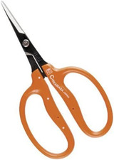 Professional horticultural Flower thinning scissors and vegetables 155mm B-500H