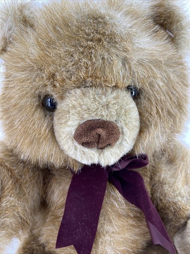 benjamin bear stuffed animal