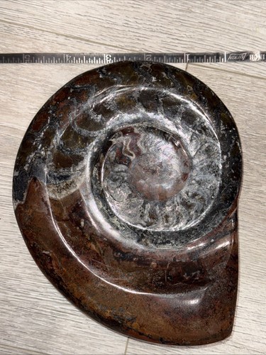 708g Polished Black Ammonite Fossil Conch Specimen Madagascar 7" X 5.5" - Picture 3 of 4