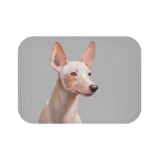 Xoloitzcuintli Mexican Hairless Bathroom Rug Mat
