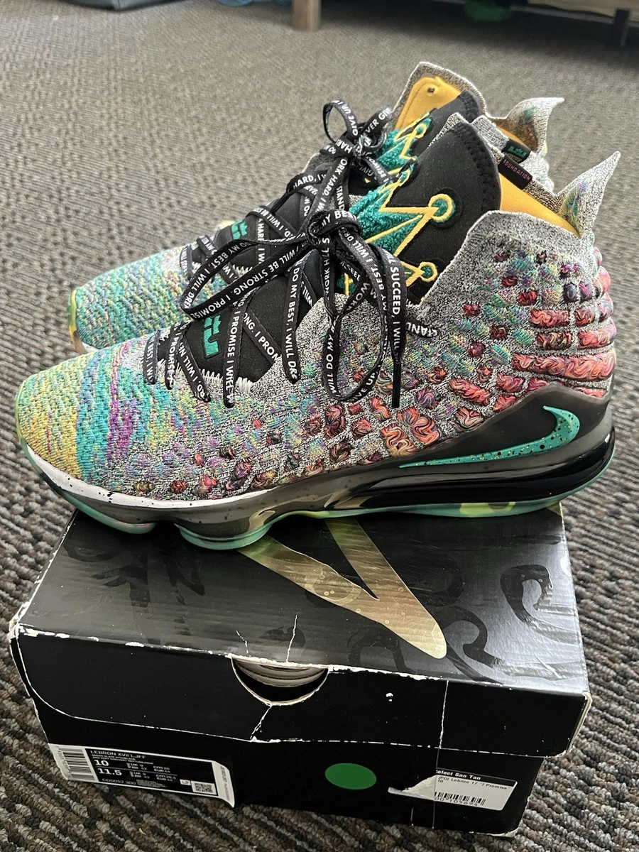 Nike LeBron 17 I Promise for Sale | Authenticity Guaranteed  display picture 1