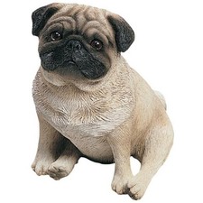 Sculpture, White Original Size Fawn Pug - Sitting