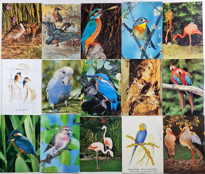 VÖGEL Tierpostkarte Lot 23 x Motiv Tiere Tier VOGEL Animals Postcards Bird Birds