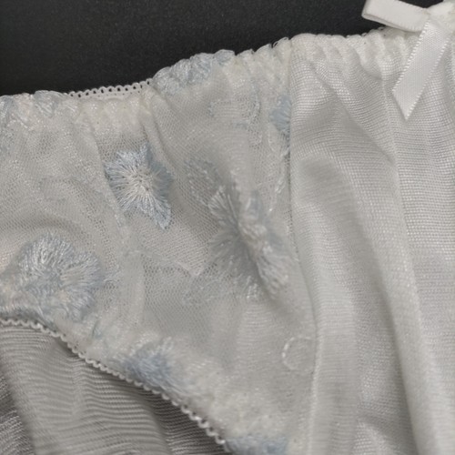 US SIZE XL SHINY NYLON TRICOT PANTIES from Japan - Picture 2 of 4