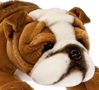~❤️BOCCHETTA Brittish Bulldog BOSTON 35cm 14" brown red/white dog soft toy❤️