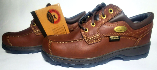 irish setter 3874