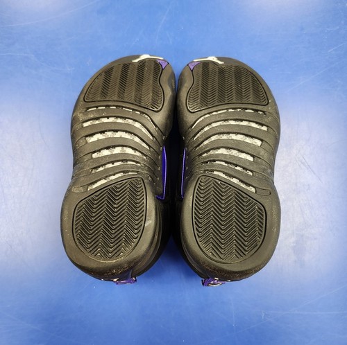 2020 Retro AIR JORDAN 12 Dark Concord (CT8013-005) Mens Size 10.5 EUC - 第 7/16 張圖片