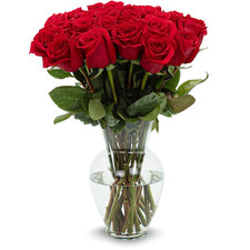 - 24 Stem Premium Red Roses Includes Glass Vase - Next Day Fresh Flower Delive