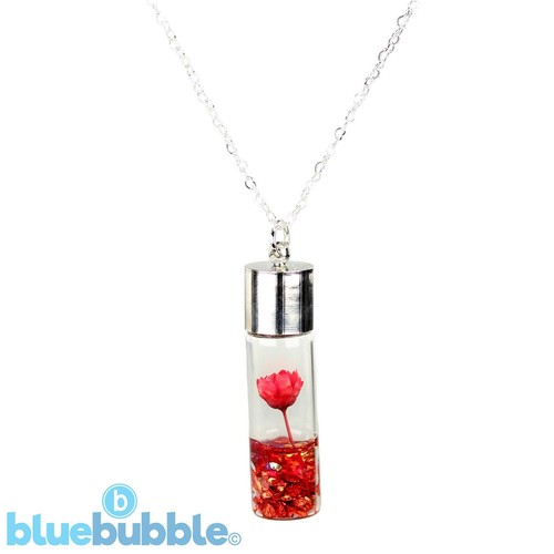 Bluebubble MY VALENTINE Flower Vial Necklace Gift Boxed Love Girlfriend Wife UK - Picture 2 of 6