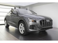 2019 Audi Q8 Technik 55 TFSI quattro