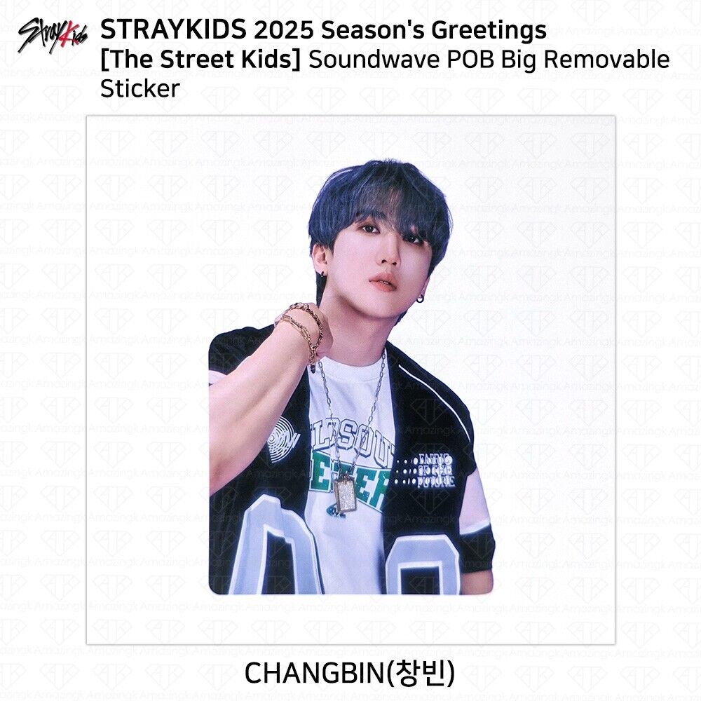 Stray Kids 2025 Season's Greetings The Street Kids Soundwave Stray Kids 2025 Season's Greetings The Street Kids Soundwave